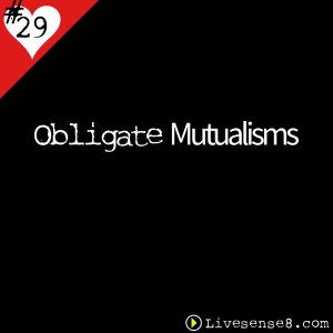 LS8 29 Obligate Mutualisms - Livesense8.com - The Live sense8 Podcast Cover Art