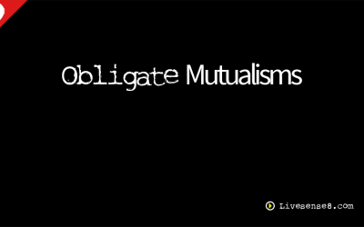 LS8 29: Obligate Mutualisms