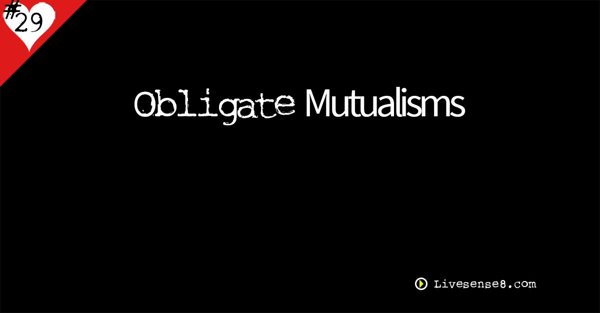 LS8 29: Obligate Mutualisms